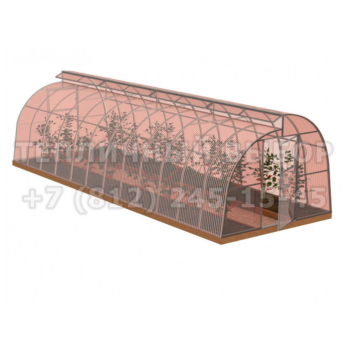 Теплица из поликарбоната-фито Усиленная По Митлайдеру 3х8 h=2.2 м профиль 25х25 мм